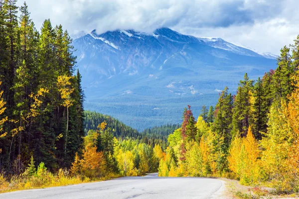 山顶上覆盖着雪 蔚蓝天空中的郁郁葱葱的积云 加拿大落基山脉 绿色针叶林与橙色秋季白杨树之间的柏油路 — 图库照片