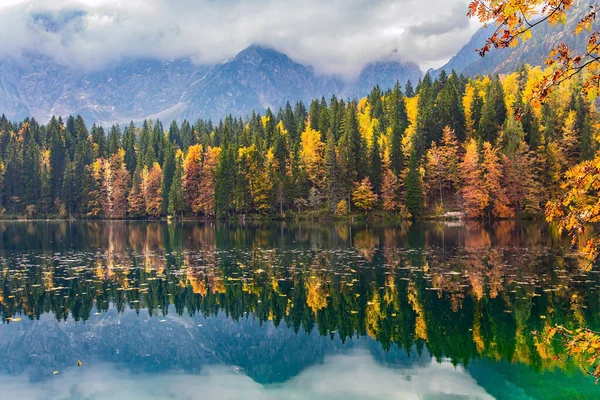 秋天森林的颜色反映在湖水的冰冷中 晨雾笼罩的高山 意大利的Picturesque Lago Fusine — 图库照片
