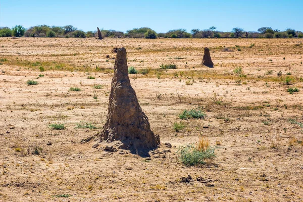 Термітові Кургани Намібії Пустеля Наміб Екзотична Подорож Африки — стокове фото