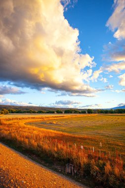 Sonsuz Arjantin çayırı ve ünlü toprak yol Ruta 40. Gün batımında parlayan devasa gökgürültüsü bulutu. Bozkır, turuncu otlarla kaplanmış.. 