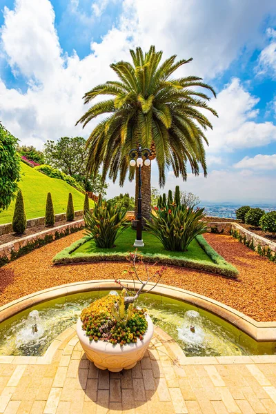 Superbes Jardins Colorés Palmiers Parterres Fleurs Haïfa Israël Centre Pèlerinage — Photo