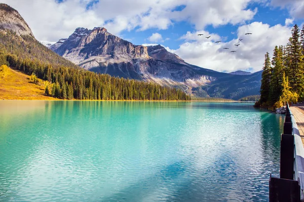 风景秀丽的翡翠湖 加拿大落基山脉 群山环绕在湖面上 周围是碧绿的水 成群结队的候鸟在高空飞翔 — 图库照片