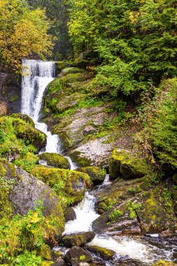Su Dünyası 'na yolculuk. Almanya 'nın sisli sonbaharı. Muhteşem yüksek şelale Triberg. Yeşil yosunlarla kaplanmış dev kayalar.