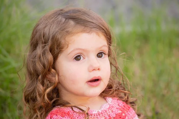 Portrét Malá Okouzlující Dívka Kudrnatými Vlasy Hraje Zeleném Trávníku Teplý — Stock fotografie