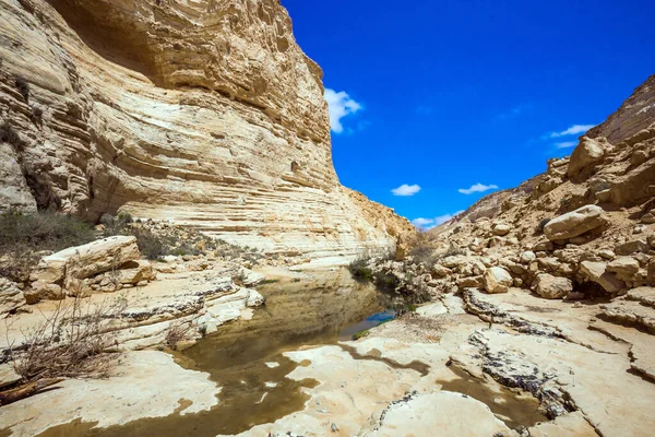 启动路线 峡谷的墙壁被山洞腐蚀了 以色列 这个峡谷是由清江的水形成的 埃文达特峡谷是内盖夫沙漠中最美丽的峡谷 — 图库照片