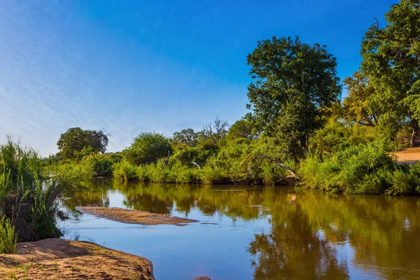 Sydafrika Kruger Park Pittoresk Långsam Ström Afrikansk Savann Överväxt Med — Stockfoto