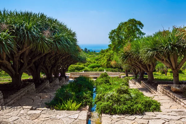 Green Flowerbeds Planted Ledges Side Mountain Overlooking Sea Step Cascade — Stock Photo, Image