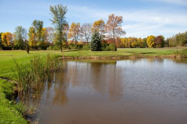 Sığ göl. Muhteşem, parlak sonbahar manzarası. Yeşil, turuncu ve sarı yapraklı ağaçlar. Sonbaharın parlak renkleri. Kanada, Quebec eyaleti. 