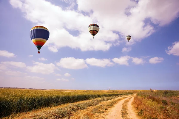 The magnificent nature of Israel. Picturesque huge fields of flowers. Three multi-colored balloons flies over a flower field of large buttercups. Israel, on the border with Gaza.