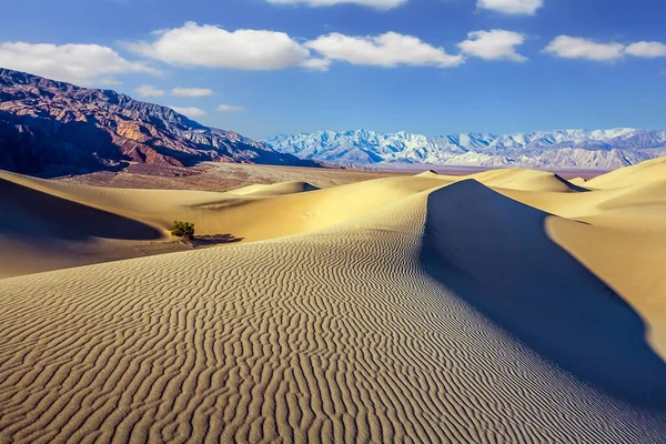 簡単にアクセスできる砂丘は道路190に沿って位置しています 魔法の砂漠の朝 非常に平らな砂丘 デスバレーの砂丘 アメリカ カリフォルニア州 極端な 積極的かつ写真観光の概念 — ストック写真