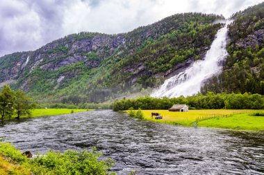 Güçlü su falı Vidfossen. Buzul suyunun yeşil dünyası. Yaz, Temmuz. Beyaz su köpüğü şelalenin ayağını kaplar. İnanılmaz Norveç.. 