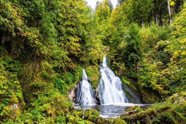 Resimli Kara Orman. Muhteşem yüksek şelale Triberg. Almanya 'nın sisli sonbaharı. Su Dünyası 'na Seyahat. 