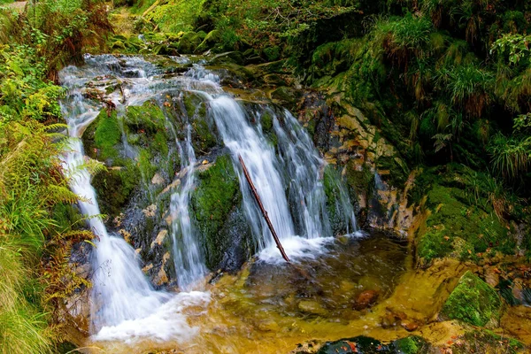 Allerheiligen Wasserfall Schwarzwald Deutschland Herbst Bewölkt Tag Berühmter Wald Mitten — Stockfoto