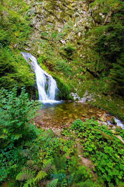 Cascata Più Alta Allerheiligen Foresta Famosa Nel Centro Dell Europa — Foto Stock