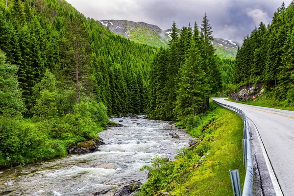 这条风景如画的公路穿过绿色的森林 去欧洲北部的夏天旅行 寒冷和雨天 挪威西部 通往Roldal的道路 — 图库照片