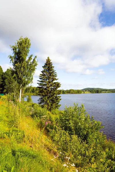 Das Ufer Des Sees Ist Mit Gras Und Wildblumen Bewachsen — Stockfoto