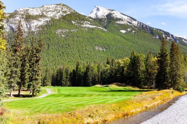 Kanada 'nın Rocky Dağları. Dağlar yoğun çam ormanlarıyla kaplı. Tarlaların arasındaki toprak yol. Kıçı çakıllı sığ bir akıntı. Güneşli bir gün 