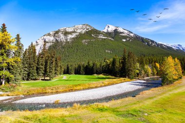 Kanada 'nın Rocky Dağları' ndaki Banff adlı küçük resim kasabasının etrafını sardı. Dağlar yoğun çam ormanlarıyla kaplı. Kıçı çakıllı, sığ bir dere.. 