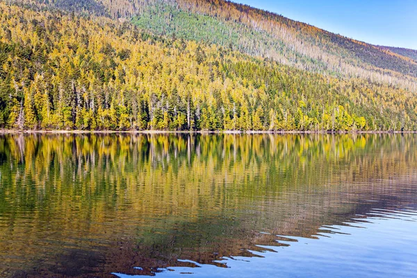 湖面光滑 映衬着蓝天和绿林 威尔斯格雷 Wells Gray 是加拿大不列颠哥伦比亚省落基山脉的一个公园 加勒比山脉 — 图库照片