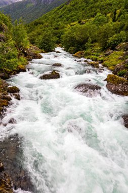  Bondhuswatnet gölünden gelen kaynayan soğuk su akıntısı. Norveç. Yaz çimlerinin zümrüt yeşili. Yazın efsanevi kuzey ülkesine yolculuk. 