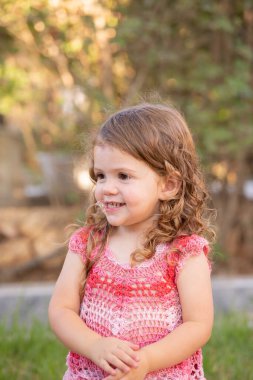 Mersdorf deresi vadisinde resim gibi bir köprü. Almanya 'da geierlay-kablo asma köprüsü. Rüzgarlı ve soğuk bir sonbahar günü