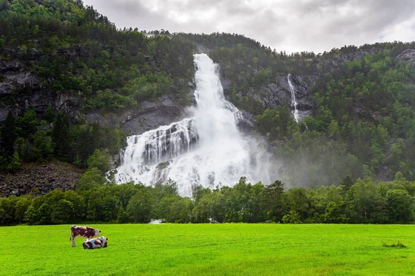Increíble Noruega Mundo Del Agua Verde Enorme Poderoso Waterfal Vidfossen — Foto de Stock
