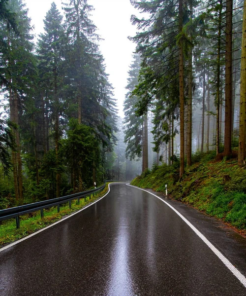 雨で滑らかな高速道路が輝きます ヨーロッパの中心部にある有名な森 シュワルツヴァルト 最初の秋の雨 朝の霧 ドイツで10月 — ストック写真