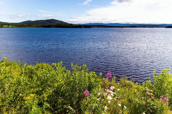 日の出だ 湖の水は太陽の下で輝く 海岸は草や野の花で覆われています ヨーロッパの北への成功した旅行 — ストック写真