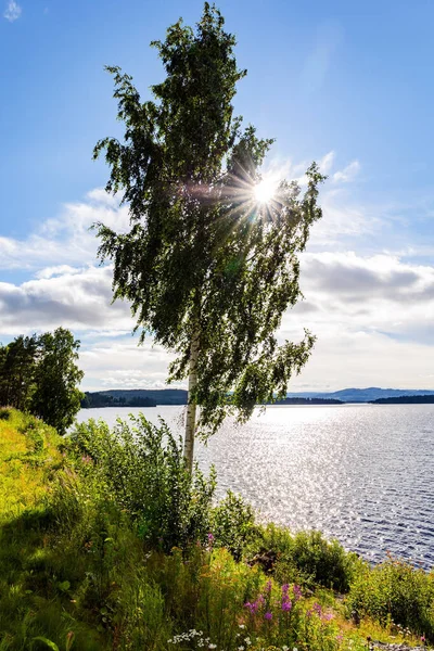 Озеро Сонці Блищить Вода Світлові Білі Хмари Синьому Небі Освітлені — стокове фото