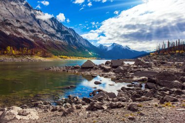 Medicine Gölü 'nün kayalık kıyısı. Dağ gölünün büyülü güzelliği. Kanada, Alberta, Jasper. Harika bir sonbahar günü. Güneş karla kaplı dağları aydınlatıyor.. 