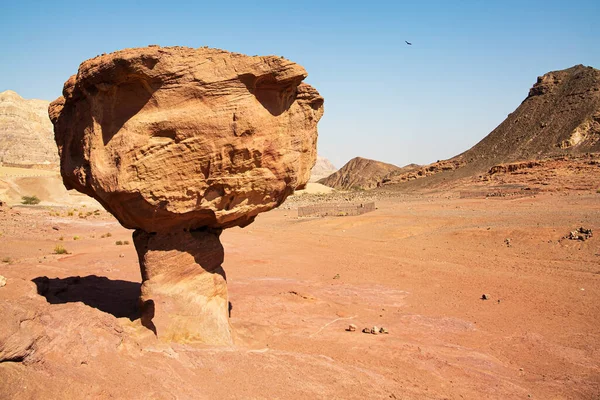 蒂姆纳谷 Timna Valley 是位于阿拉瓦沙漠南部的一个低洼地 靠近埃拉特度假胜地 红色砂岩岩石 华丽的多彩的岩石 以色列 炎热的十一月天 — 图库照片