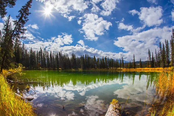 Rocky Mountains Small Lake Cold Green Water Coniferous Forest Reflected — 图库照片