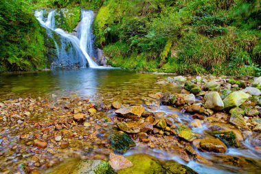 Almanya. Sonbahar bulutlu bir gün. Avrupa 'nın merkezindeki ünlü orman, Schwarzwald. En yüksek çağlayan şelale, Alerheiligen. Kara Orman 'ın muhteşem ülkesine git.. 