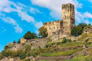 Ortaçağ şövalyelerinin kaleleri ve harabeleri. Almanya 'da sıcak bir sonbahar. Ren nehrinin sahil tepelerinin güzel ağaçlık yamaçları. Kale bir dağ yamacının kenarında duruyor.