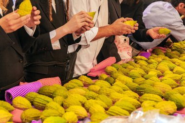 Sukkot, Yahudi halkının en önemli bayramlarından biridir. Tezgahın üzerine güzel etroglar serilmiştir. Ayin bitkilerinin satışı için bayram öncesi pazarı. İsrail, Kudüs