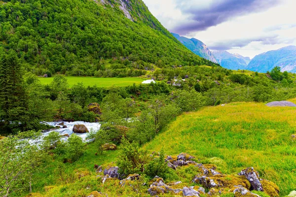 在仲夏去美丽的北方国家旅行 夏草的翡翠绿色 通往Bondhuswatnet山湖的路 伟大的挪威 — 图库照片