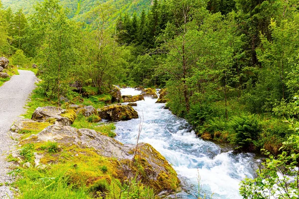 伟大的挪威 夏草的翡翠绿色 通往Bondhuswatnet山湖的路 波涛汹涌的高山冷水从湖中流出 — 图库照片