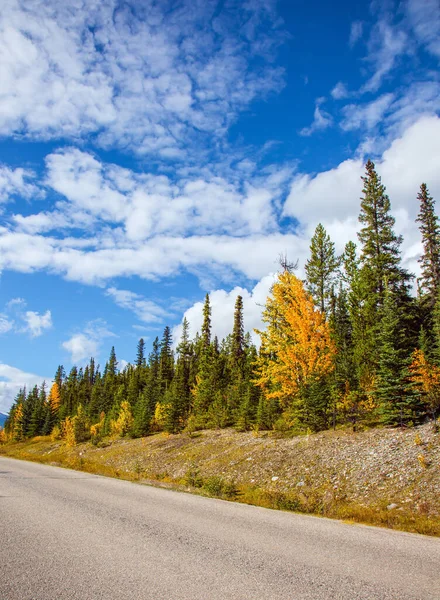 Słynna Autostrada Górach Skalistych Kanady Wspaniałe Indiańskie Lato Droga Asfaltowa — Zdjęcie stockowe