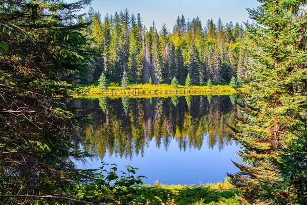 湖の滑らかな表面は森と青空を反映しています ウェルズ グレイは ロッキー山脈にあるブリティッシュコロンビア州の公園である カナダ — ストック写真