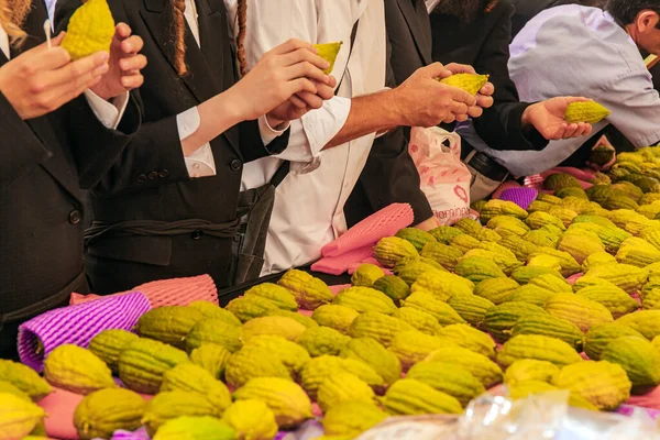 Sukkot One Main Holidays Jewish People Beautiful Etrogs Laid Out — Stock Photo, Image