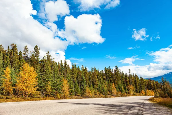 Βραχώδη Όρη Του Καναδά Καλύπτονται Από Φθινοπωρινά Δάση Πορτοκαλί Κίτρινο — Φωτογραφία Αρχείου