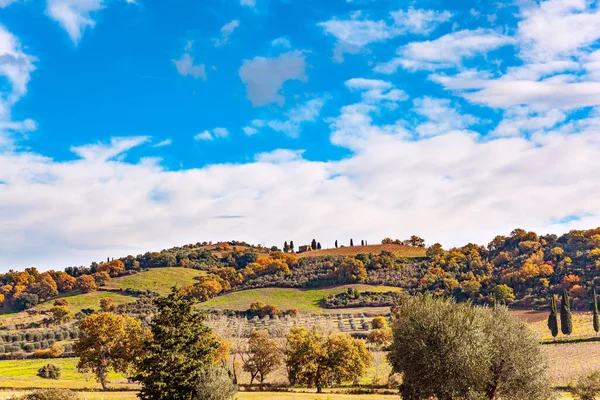 Wonderful Sunny Day Late Autumn Picturesque Hills Gardens Vineyards Tuscany — Stock Photo, Image