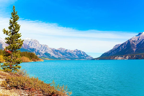 Lago Abraão Pitoresco Com Água Azul Viagem Montanhas Rochosas Mágicas — Fotografia de Stock