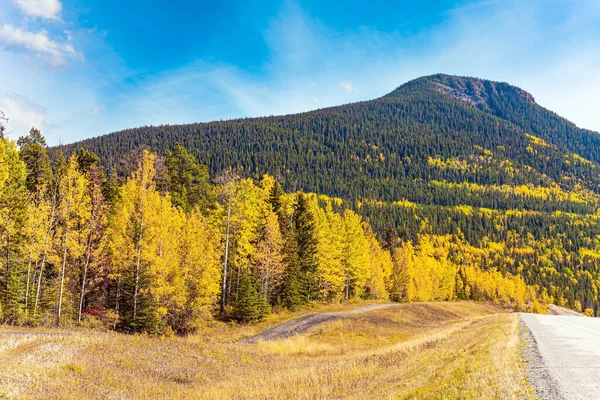 カナダのロッキー山脈 アブラハム湖沿いの道路 豪華な晴れた秋の日 アブラハム湖の周りの葉や草の黄色 オレンジ — ストック写真