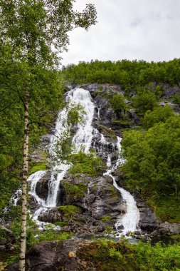 Dikey kayalık şelale Flesefossen Norveç 'in en pitoresk yolunda. Dağ yamaçları yeşil ormanlarla kaplıdır. Avrupa 'nın kuzeyine yaz gezisi. 