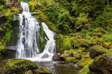 Resimli Kara Orman. Almanya. Su Dünyası 'na yolculuk. Muhteşem yüksek şelale Triberg. Şelalenin güçlü jetleri gök gürültüsü ve gürlüyor..