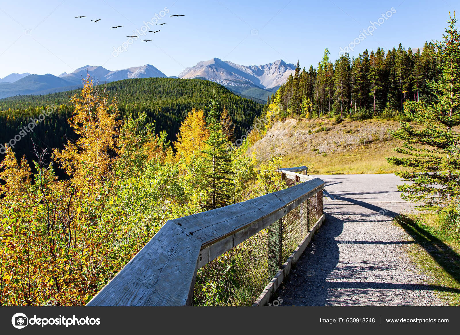 Индийское Лето Скалистых Горах Канада Живописная Горная Дорога.