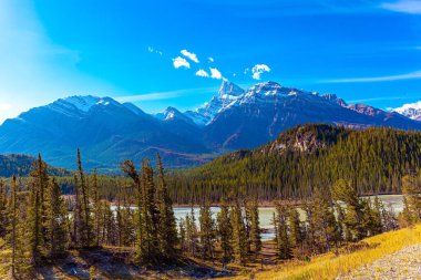 Kanada 'nın Rocky Dağları. Dağ zirveleri buzullar ve karla kaplıdır. Abraham Gölü 'nü çevreleyen yoğun yeşil ormanlar. Yakında akşam olacak.. 