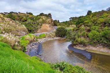 The picturesque Waipingau Stream reflects hills, bushes and high reeds in the water. The Pacific coast of northern Taranaki. Low tide time. The nature of New Zealand