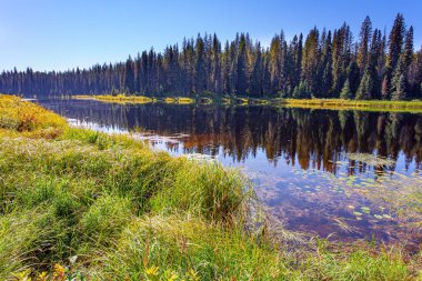 Gölün pürüzsüz yüzeyi ormanı yansıtır. Wells Gray Kanada 'nın Rocky Dağları' ndaki British Columbia eyaletinde bir parktır..
